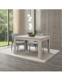 Tavolo rettangolare moderno allungabile olmo 120x80x77 140x90x77 vista frontale