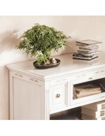 PORTA TV CLASSICO IN LEGNO 2 CASSETTI 1 RIBALTA VARI COLORI L.100 P.51 H.75