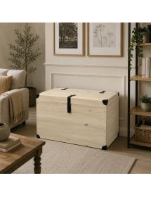 CASSAPANCA BAULE IN LEGNO GREZZA L.80 P.45 H.50 (543)