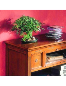PORTA TV CLASSICO 2 CASSETTI 1 RIBALTA IN LEGNO GREZZO  L.100 P.51 H.75