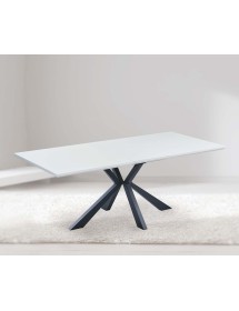 Mobili 2G - Tavolo moderno fisso piano impiallacciato bianco 160x90x78 VISTA LATERALE