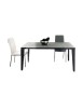 MOBILI 2G - TAVOLO IN VETRO GRIGIO GRAFITE ALLUNGABILE MISURA L.160 P.90 H.77 vista frontale